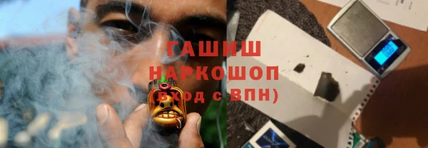 тгк Гусев