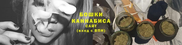 тгк Гусев