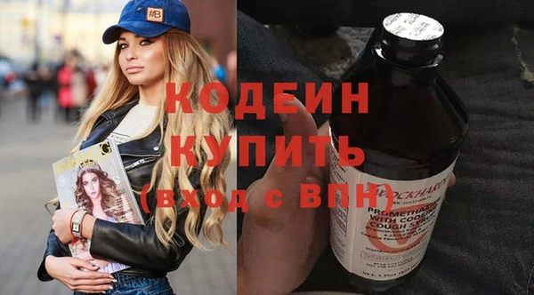 тгк Гусев