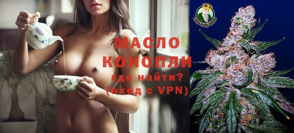 тгк Гусев