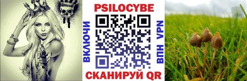 Псилоцибиновые грибы мухоморы  Купить где  Советская Гавань 