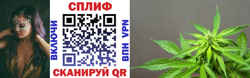 Бошки марихуана гибрид  Купить закладки  Советская Гавань 